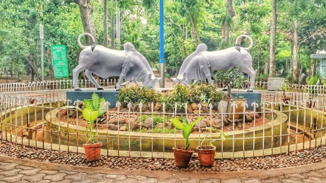 Botanical Garden
