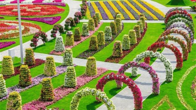 TTD Gardens