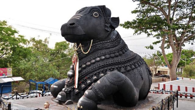 Bull Temple (Nandi Temple)
