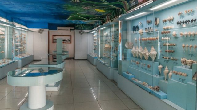  Sculpture Museum