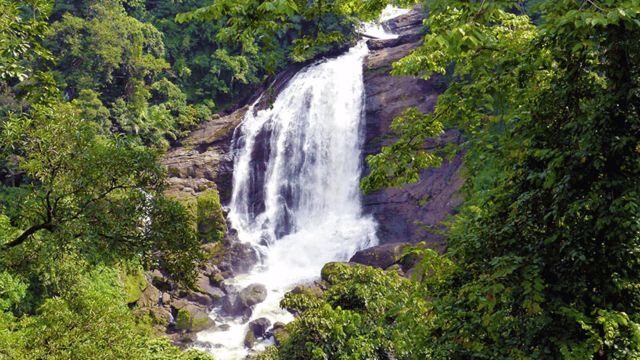  Attukal Waterfalls