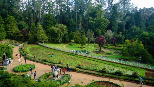 Government Botanical Garden