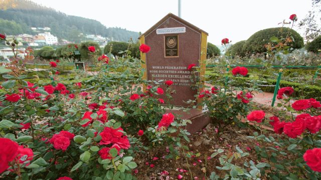 Government Rose Garden